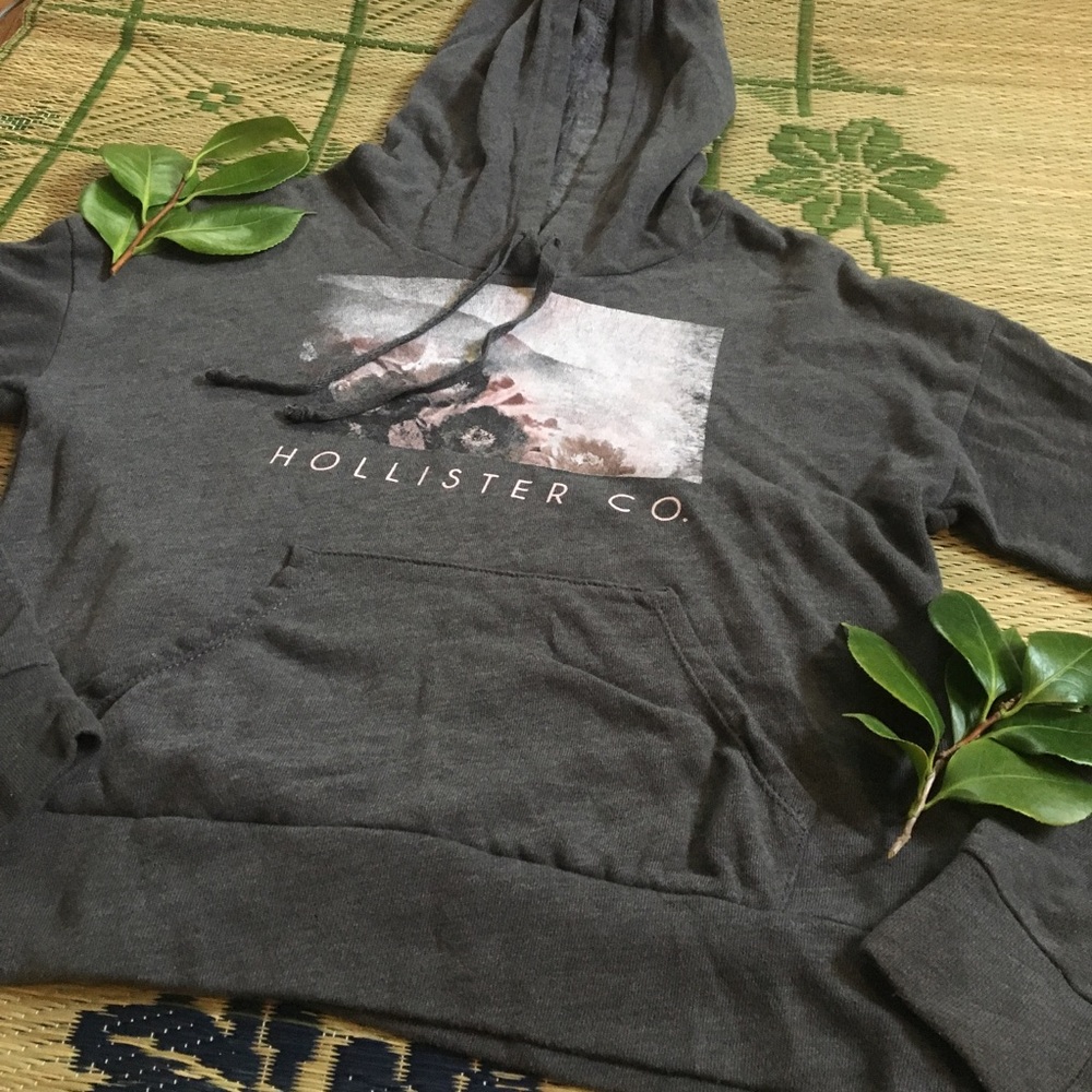 Hollister Gray Hoodie